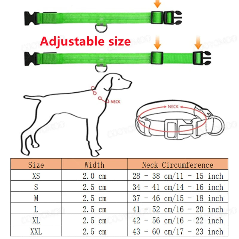 LED Dog Collar — USB Rechargeable Light-Up Safety Collar for Night Walks, Adjustable, Multiple Sizes & Colors
