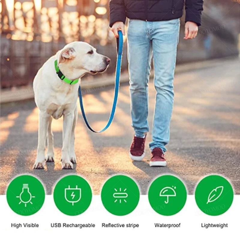 LED Dog Collar — USB Rechargeable Light-Up Safety Collar for Night Walks, Adjustable, Multiple Sizes & Colors