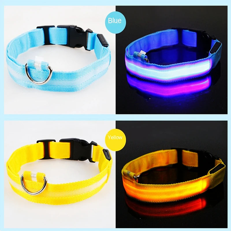 LED Dog Collar — USB Rechargeable Light-Up Safety Collar for Night Walks, Adjustable, Multiple Sizes & Colors