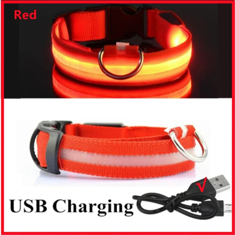 LED Dog Collar — USB Rechargeable Light-Up Safety Collar for Night Walks, Adjustable, Multiple Sizes & Colors