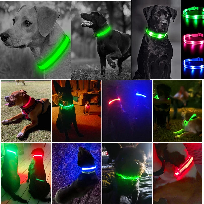 LED Dog Collar — USB Rechargeable Light-Up Safety Collar for Night Walks, Adjustable, Multiple Sizes & Colors