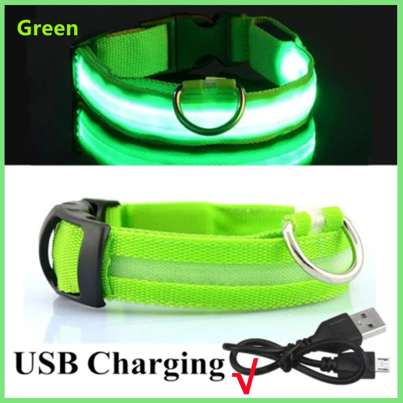 LED Dog Collar — USB Rechargeable Light-Up Safety Collar for Night Walks, Adjustable, Multiple Sizes & Colors
