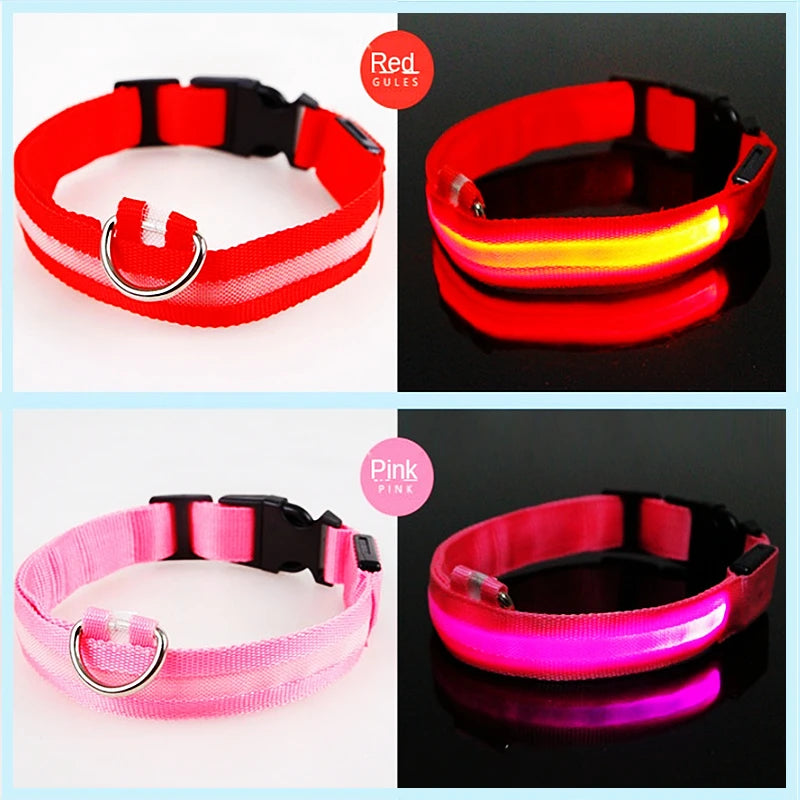 LED Dog Collar — USB Rechargeable Light-Up Safety Collar for Night Walks, Adjustable, Multiple Sizes & Colors
