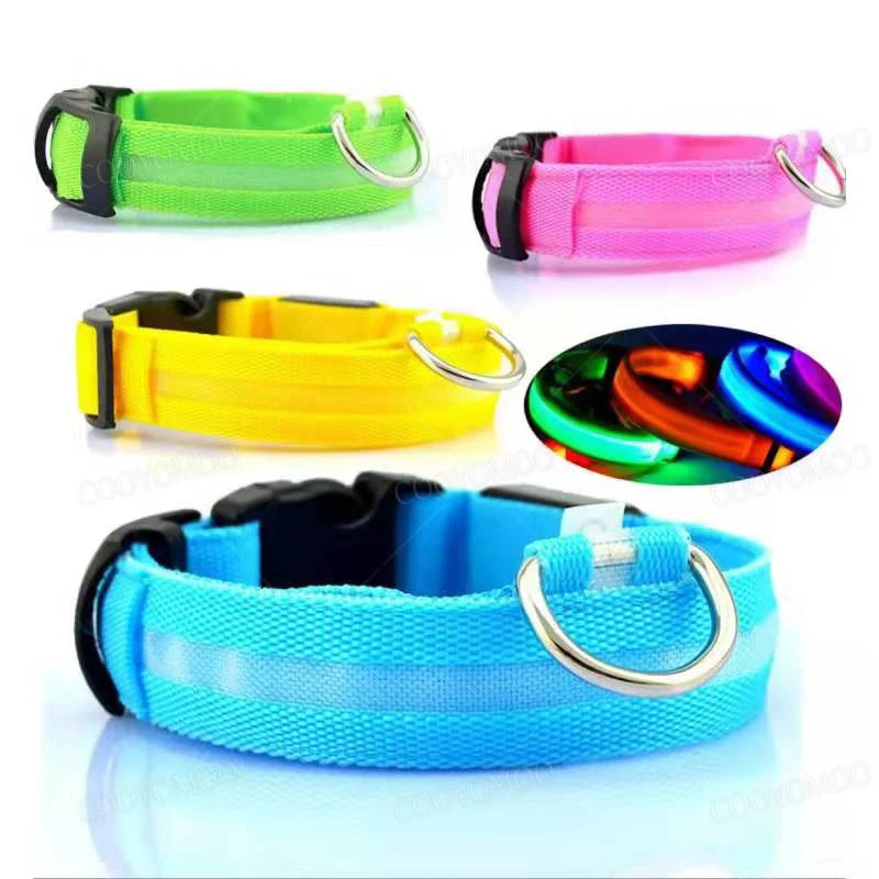 LED Dog Collar — USB Rechargeable Light-Up Safety Collar for Night Walks, Adjustable, Multiple Sizes & Colors