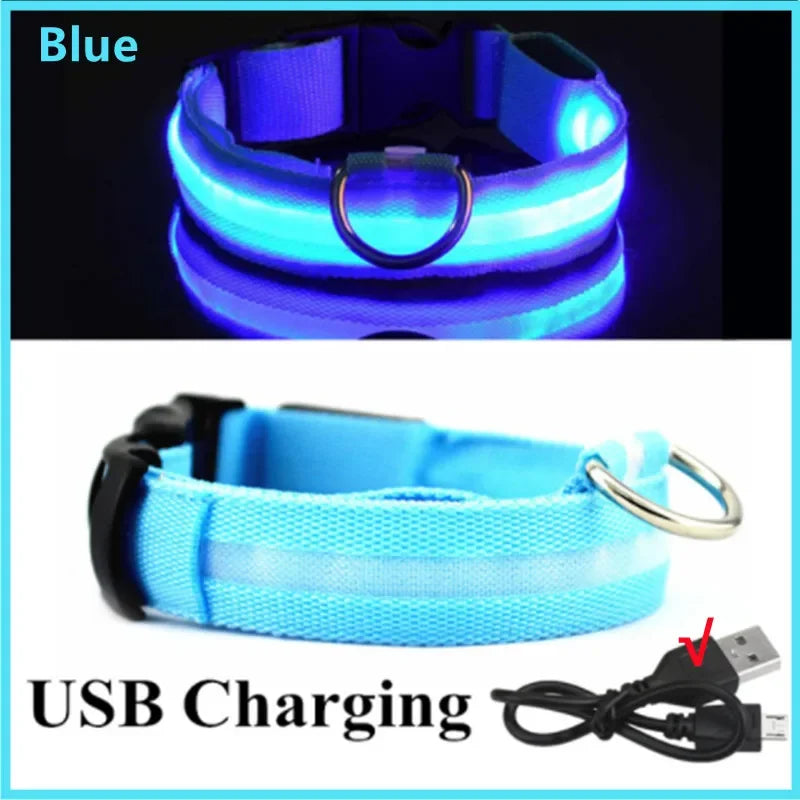 LED Dog Collar — USB Rechargeable Light-Up Safety Collar for Night Walks, Adjustable, Multiple Sizes & Colors