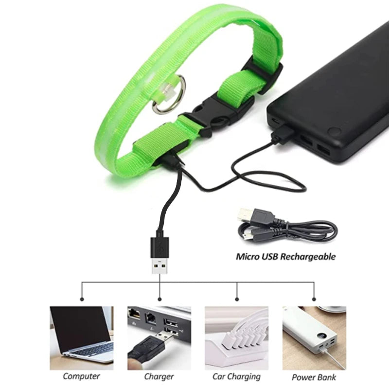 LED Dog Collar — USB Rechargeable Light-Up Safety Collar for Night Walks, Adjustable, Multiple Sizes & Colors