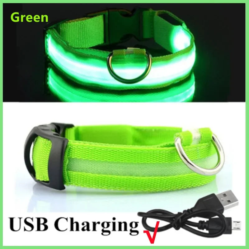 LED Dog Collar — USB Rechargeable Light-Up Safety Collar for Night Walks, Adjustable, Multiple Sizes & Colors