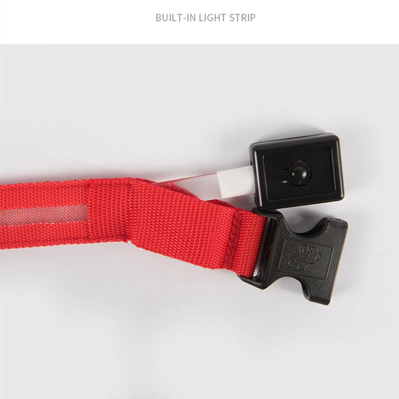 LED Dog Collar — USB Rechargeable Light-Up Safety Collar for Night Walks, Adjustable, Multiple Sizes & Colors