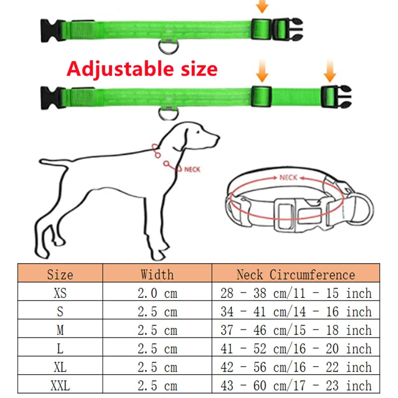 LED Dog Collar — USB Rechargeable Light-Up Safety Collar for Night Walks, Adjustable, Multiple Sizes & Colors