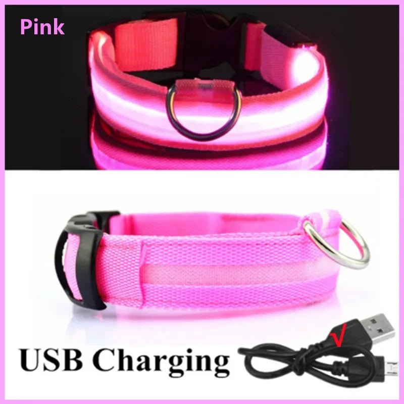 LED Dog Collar — USB Rechargeable Light-Up Safety Collar for Night Walks, Adjustable, Multiple Sizes & Colors