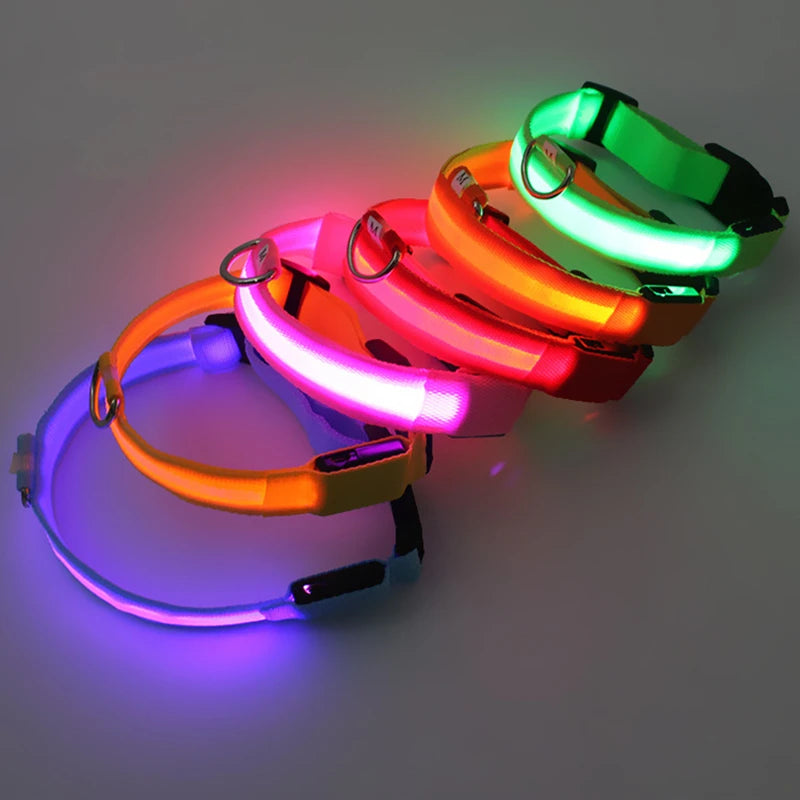 LED Dog Collar — USB Rechargeable Light-Up Safety Collar for Night Walks, Adjustable, Multiple Sizes & Colors