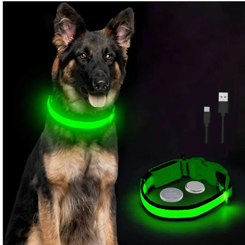 LED Dog Collar — USB Rechargeable Light-Up Safety Collar for Night Walks, Adjustable, Multiple Sizes & Colors