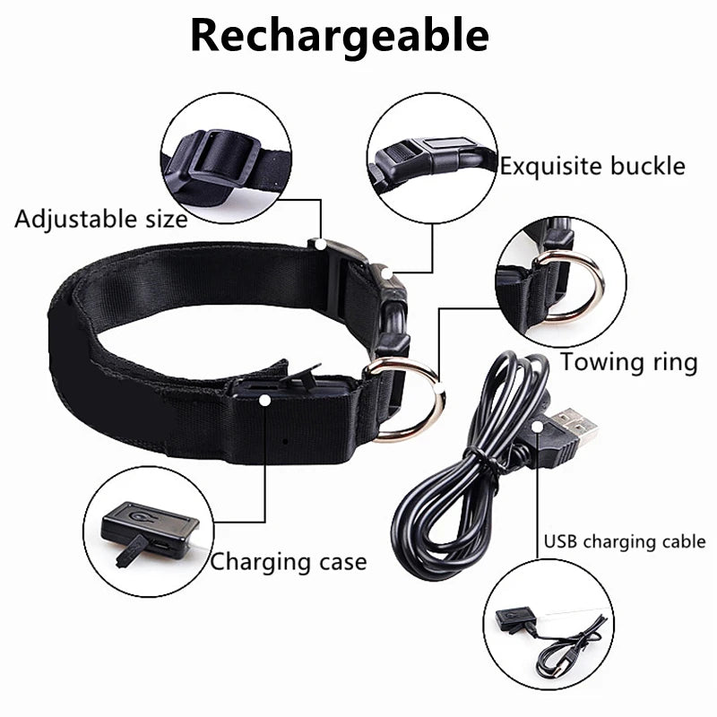 LED Dog Collar — USB Rechargeable Light-Up Safety Collar for Night Walks, Adjustable, Multiple Sizes & Colors