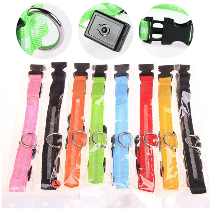 LED Dog Collar — USB Rechargeable Light-Up Safety Collar for Night Walks, Adjustable, Multiple Sizes & Colors