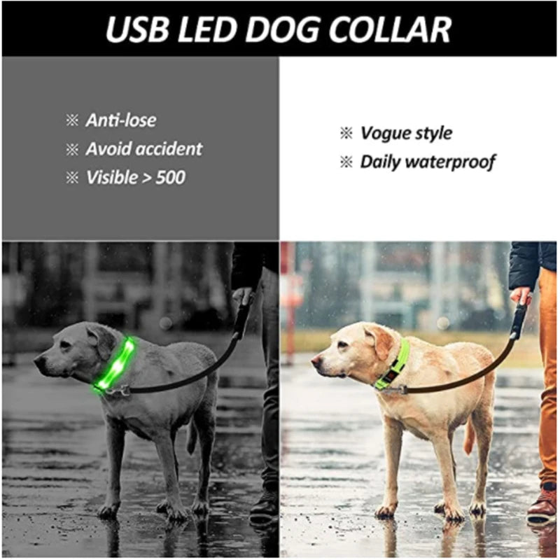 LED Dog Collar — USB Rechargeable Light-Up Safety Collar for Night Walks, Adjustable, Multiple Sizes & Colors