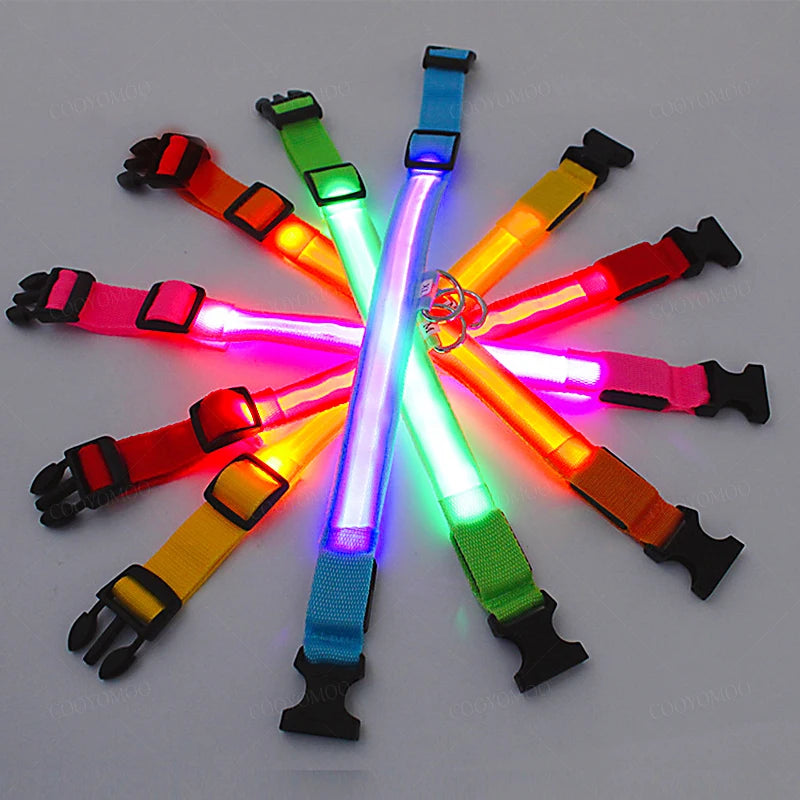 LED Dog Collar — USB Rechargeable Light-Up Safety Collar for Night Walks, Adjustable, Multiple Sizes & Colors