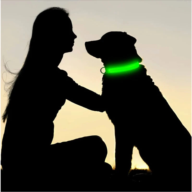 LED Dog Collar — USB Rechargeable Light-Up Safety Collar for Night Walks, Adjustable, Multiple Sizes & Colors