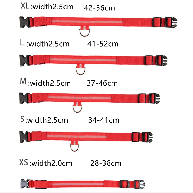 LED Dog Collar — USB Rechargeable Light-Up Safety Collar for Night Walks, Adjustable, Multiple Sizes & Colors