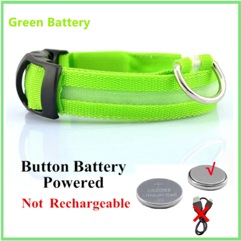 LED Dog Collar — USB Rechargeable Light-Up Safety Collar for Night Walks, Adjustable, Multiple Sizes & Colors