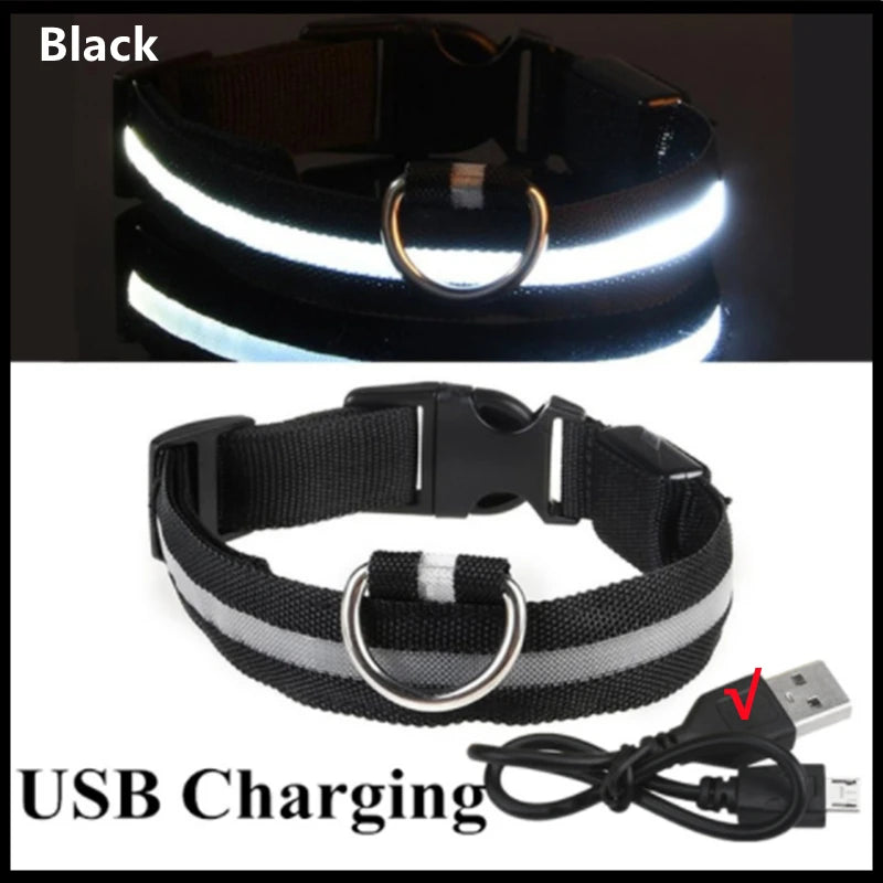 LED Dog Collar — USB Rechargeable Light-Up Safety Collar for Night Walks, Adjustable, Multiple Sizes & Colors
