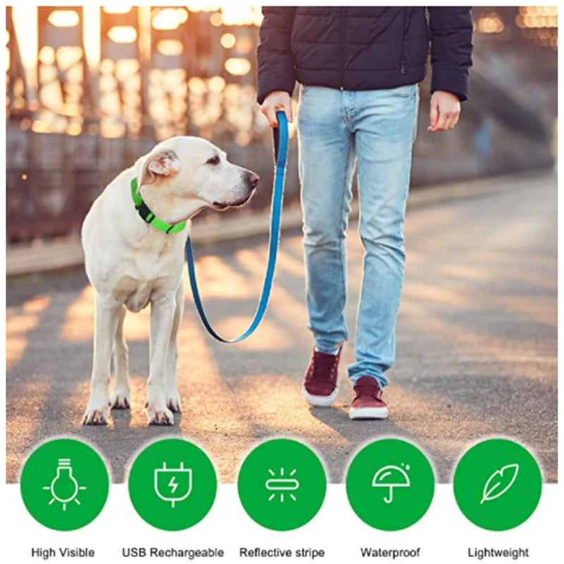 LED Dog Collar — USB Rechargeable Light-Up Safety Collar for Night Walks, Adjustable, Multiple Sizes & Colors