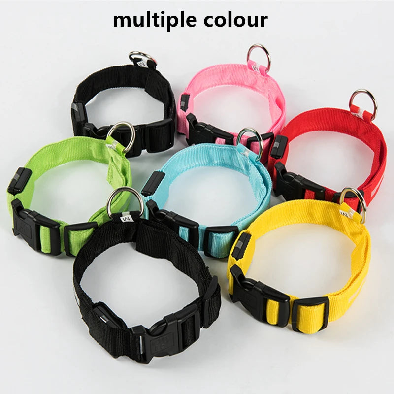 LED Dog Collar — USB Rechargeable Light-Up Safety Collar for Night Walks, Adjustable, Multiple Sizes & Colors