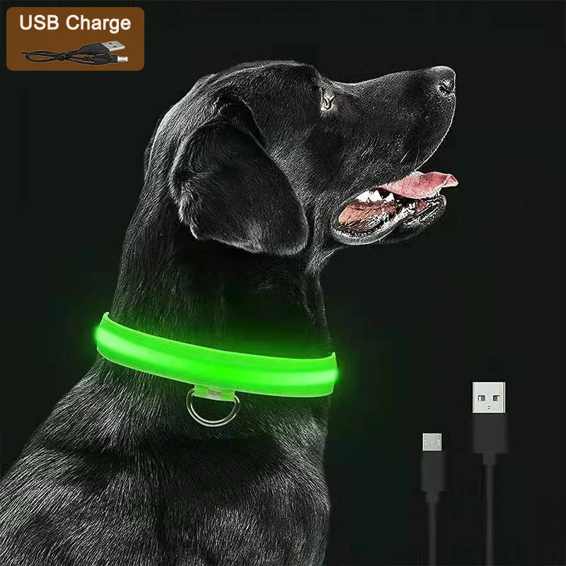 LED Dog Collar — USB Rechargeable Light-Up Safety Collar for Night Walks, Adjustable, Multiple Sizes & Colors