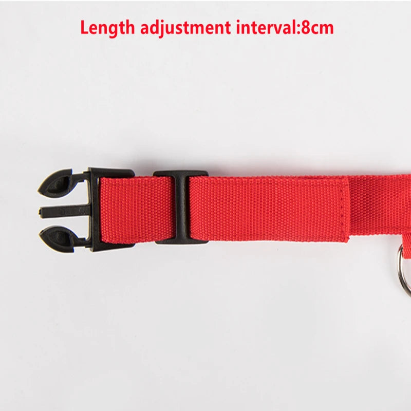 LED Dog Collar — USB Rechargeable Light-Up Safety Collar for Night Walks, Adjustable, Multiple Sizes & Colors