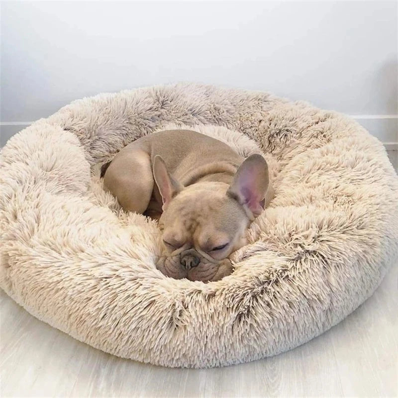 Calming Donut Dog Bed — Super Soft Plush Anti-Anxiety Pet Bed for Cats & Dogs, Multiple Sizes