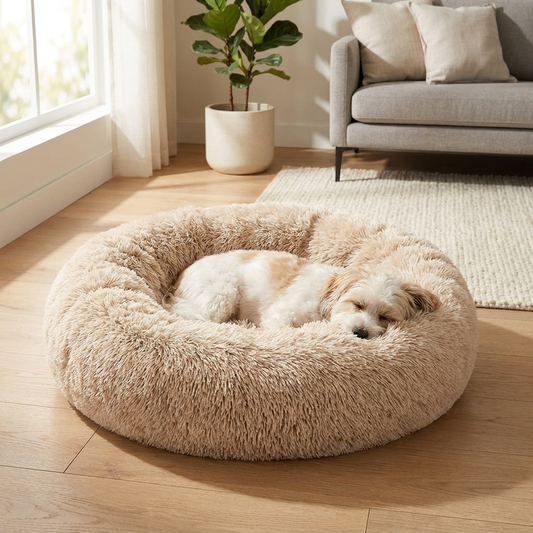 Calming donut dog bed with a dog asleep in a cozy sunlit living room
