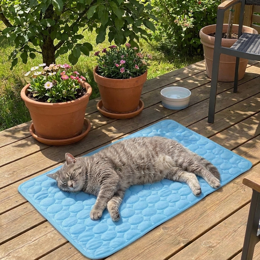Summer Pet Ice Pad lifestyle