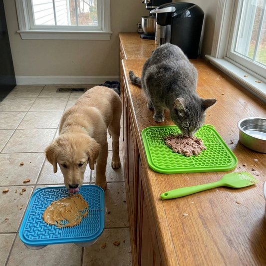 Licking Mat Slow Feeder lifestyle